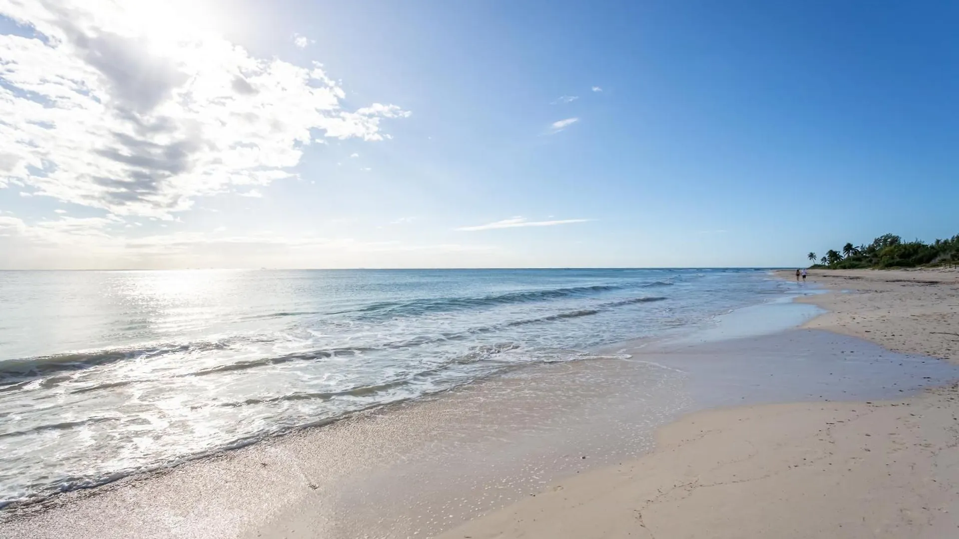 Gorgeous Ocean Front Apartment Casa Shell Condo Плая-дель-Кармен