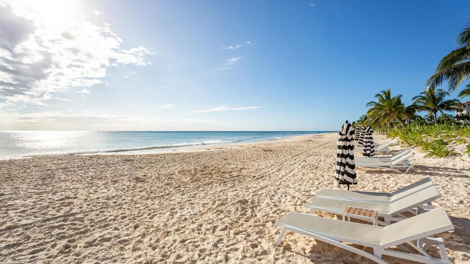 Gorgeous Ocean Front Apartment Casa Shell Condo Плая-дель-Кармен 0*,  Мексика